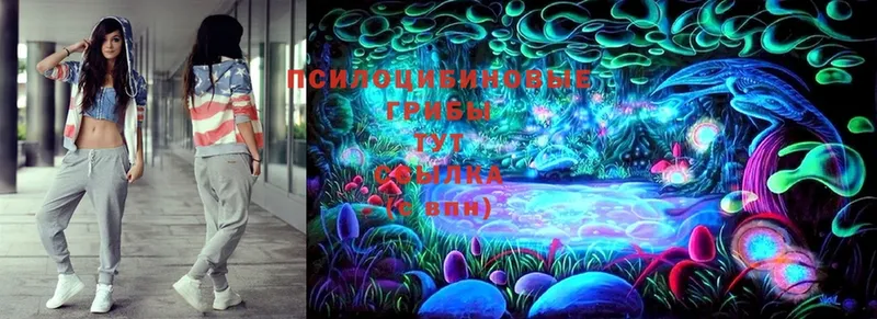 Галлюциногенные грибы Magic Shrooms Заозёрный